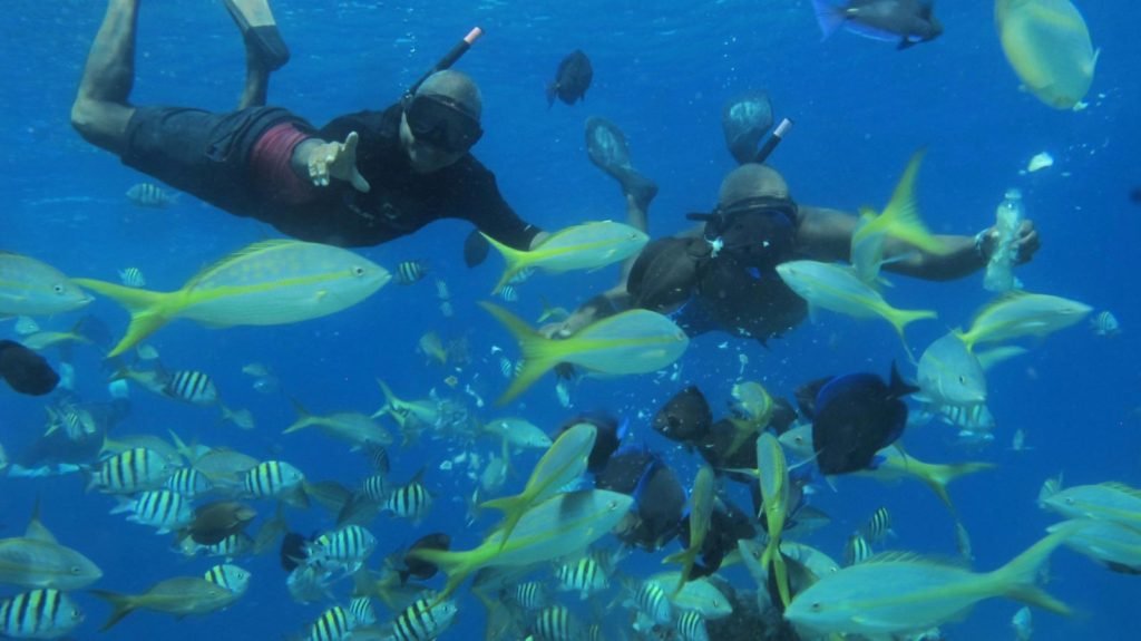 Diving in sosua bay